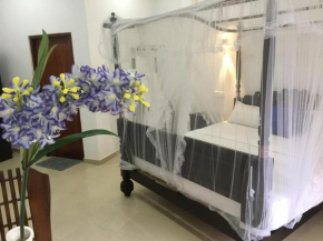 Galle Fantacy